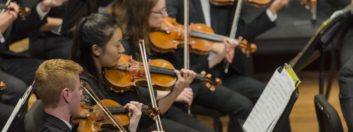 Camerata ensemble playing