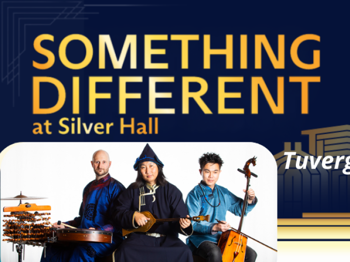 Something Different at Silver Hall: Tuvergen Band banner