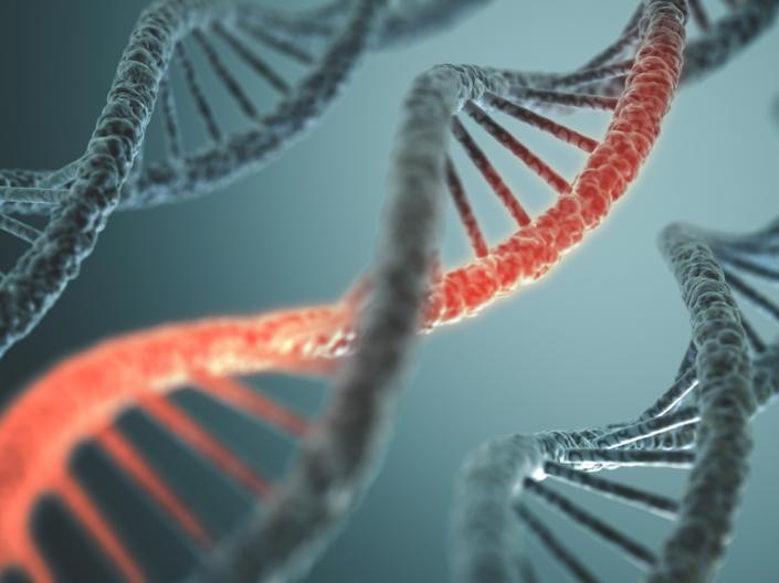 Illustration of gene