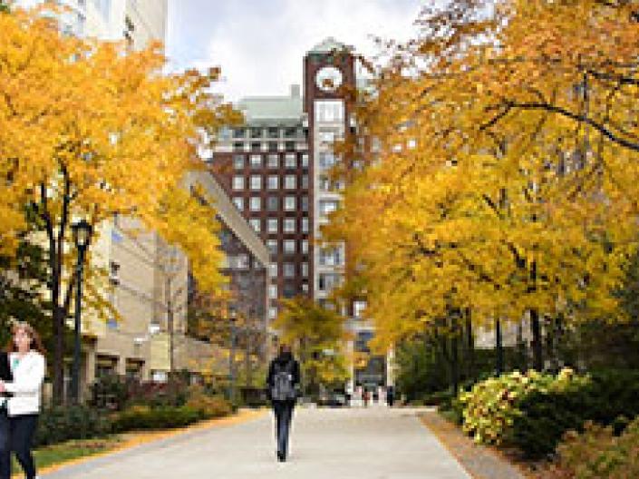 Image of a pathway.
