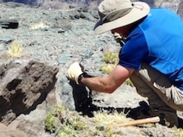 Image of a paleontologist.