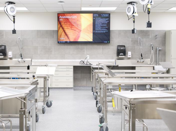 New Anatomy Labs