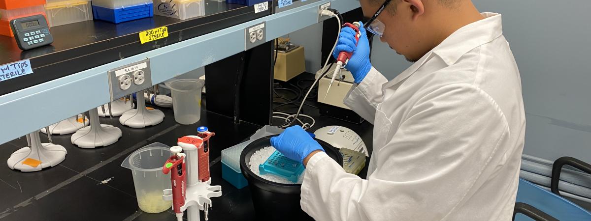 A student in a white lab coat performing an experiment with pipets