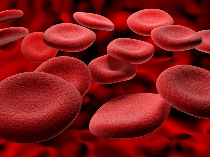 Images of red blood cells