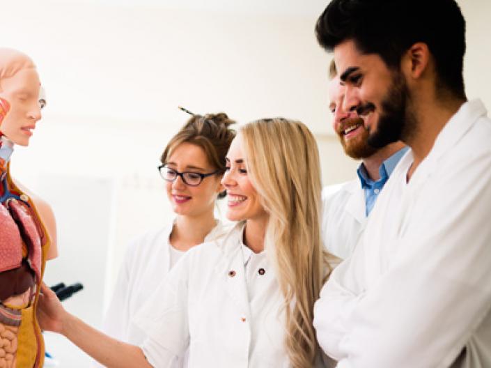 Medical students looking at a model of human anatomy
