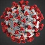 Artist image of the sars cov-2 virus