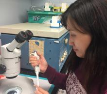 A scientist pipetting media into a test-tube 