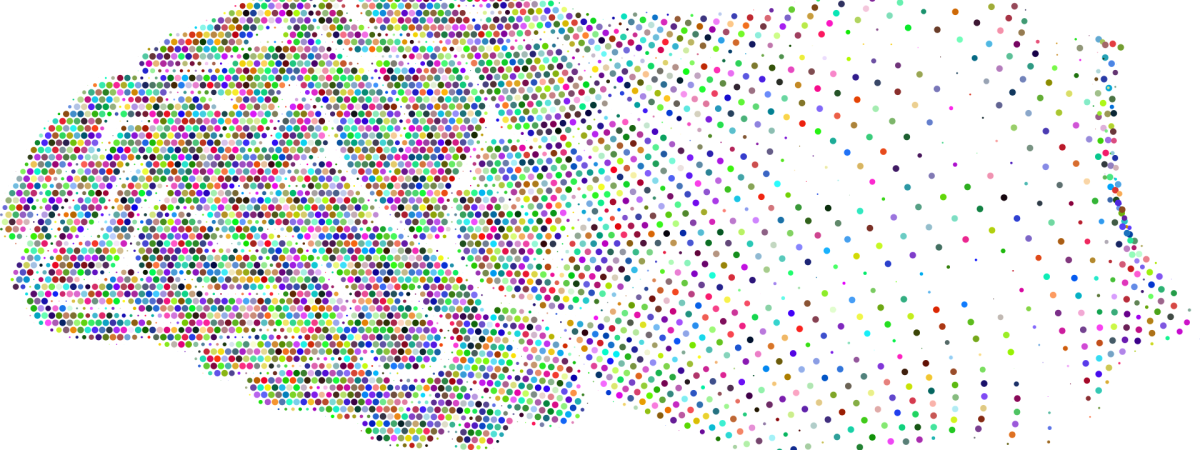 Brain waves
