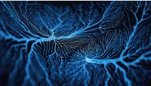 blue neurons