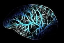 glia brain