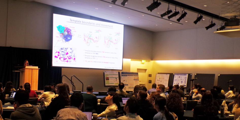 2025 CCMSB Symposium Keynote Speaker: Juli Feigon (UCLA)