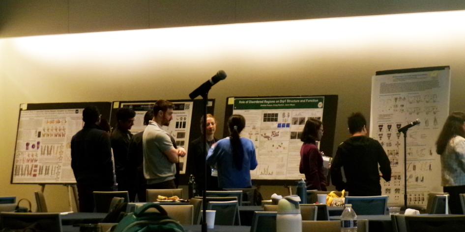 2025 CCMSB Symposium Poster Session 5