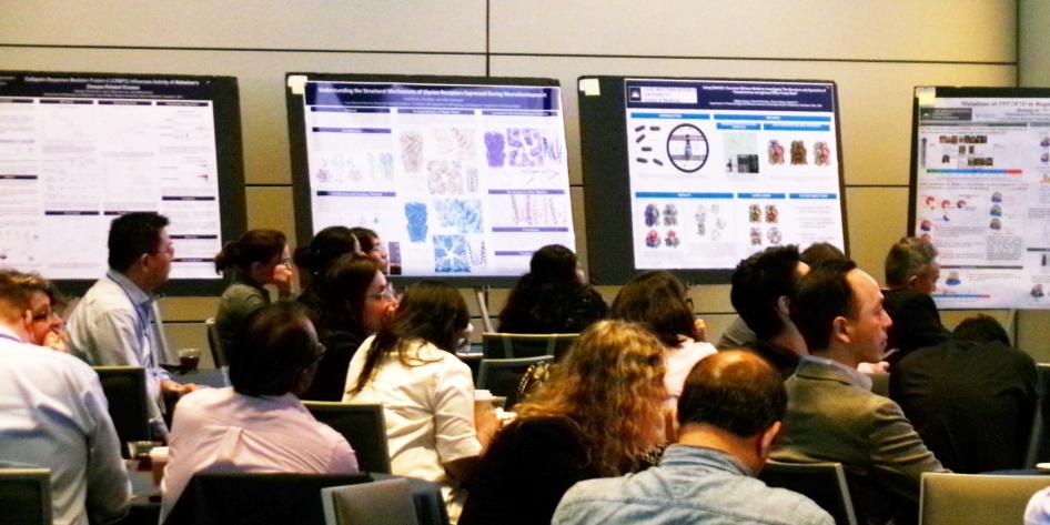 2025 CCMSB Symposium Presentation