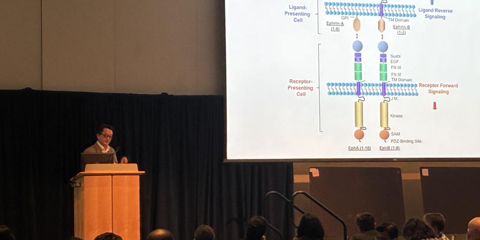 2026 CCMSB Symposium Presentation