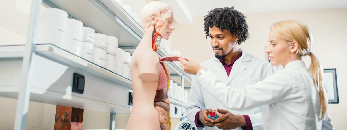  Diverse medical students examine a model of the human body in a lab setting