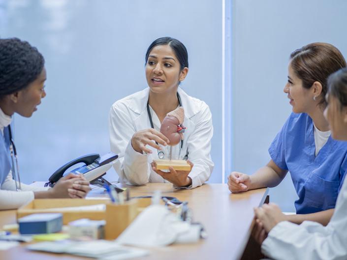 Doctor Teaching Students About the Kidney