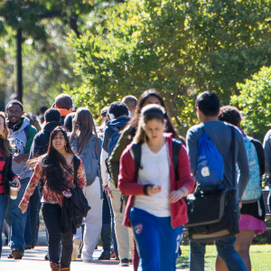 Case Western Reserve University students walking through the Quad on a sunny afternoon