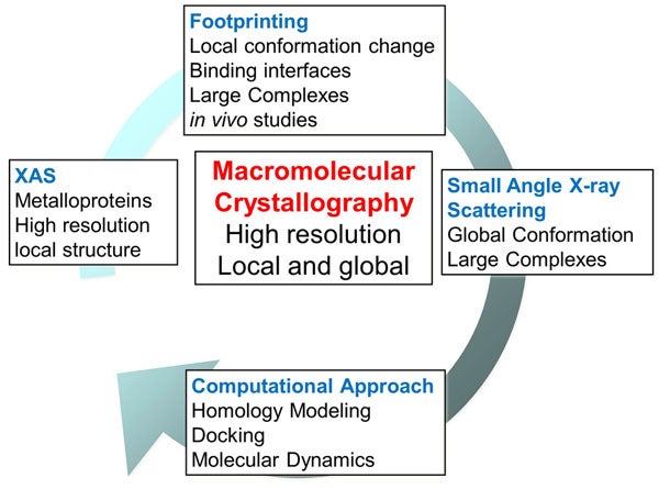 Multi-technique approaches in structural biology