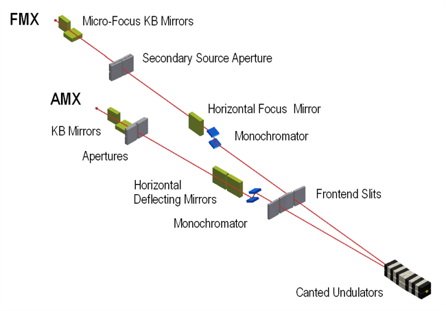 Depiction of apparatus for FMX and AMX beamlines.