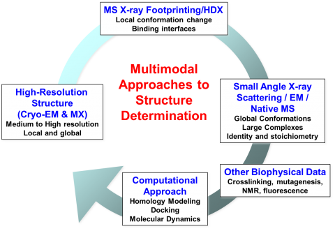 Multimodal approaches to structure determination, highlighting the use of multiple techniques such as Cryo-EM, crystallography, small angle X-ray scattering, and X-ray footprinting together with computational approaches and other biophysical data to solve structural biology problems.