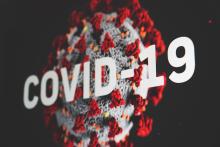 Image of the COVID-19 coronavirus by Martin Sanchez on Unsplash