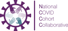 National COVID Cohort Collaborative (N3C) logo