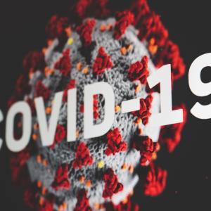 Image of the COVID-19 coronavirus by Martin Sanchez on Unsplash