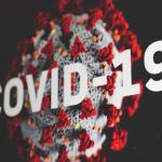 Image of the COVID-19 coronavirus by Martin Sanchez on Unsplash