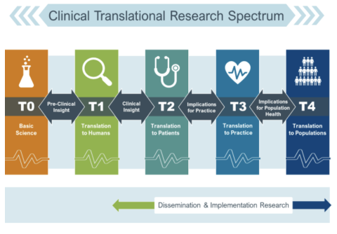 Clinical Translational Research Spectrum