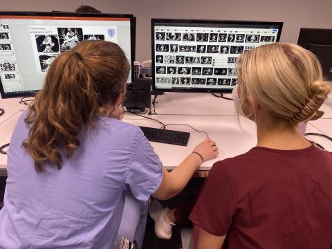 A student and a resident in a radiology session looking at a x-ray image.