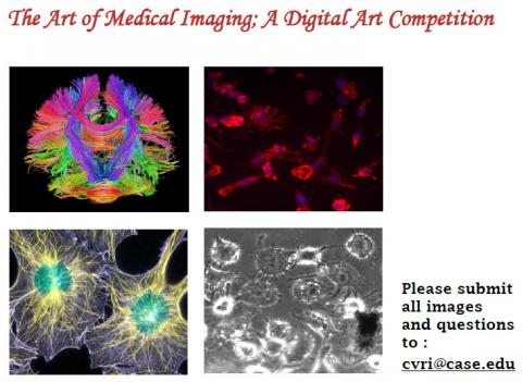 Poster for the art of medical imaging, a digital art competition, with four works of art, the first an image of the vascular pathway of the brain lit up in many multicolors, the second a red and purple stain of cells, a third an image of two cells, with intracell pathways in yellow and nucleus in green, and fourth a black and white image of cells.  contains text please submit all images and questions to cvri@case.edu, with email underlined