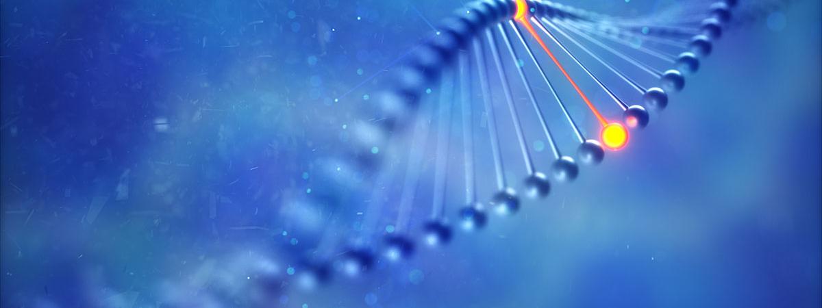 3D close up of DNA