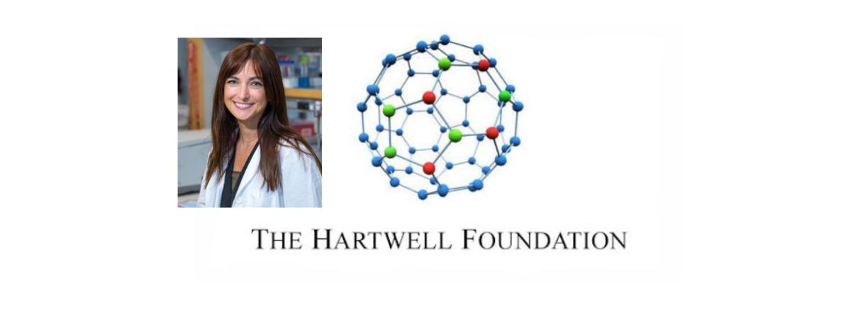 Hartwell Foundation Logo with Scavuzzo