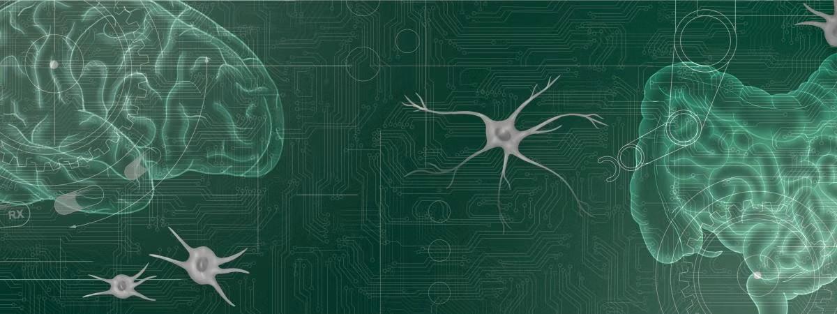 Institute for Glial Sciences