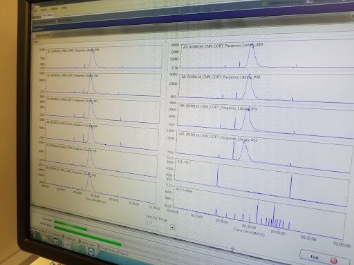 Graph on a computer screen