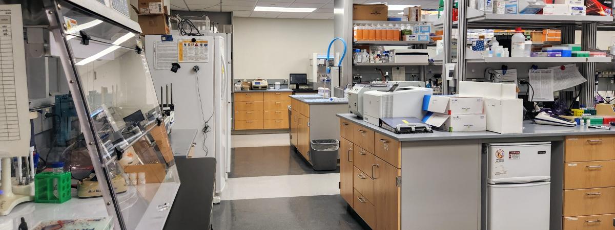 Picture of a research lab with multiple benches and equipment