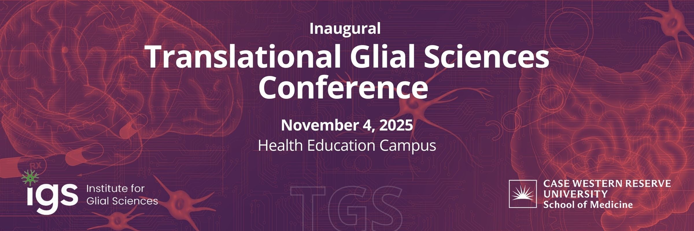 A banner with brain and gut imagery highlightint eh Inagural Translational glial sciences conference hosted at CWRU on November 4th, 2025