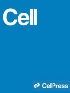 Blank Blue Cover Image for Cell Magazine