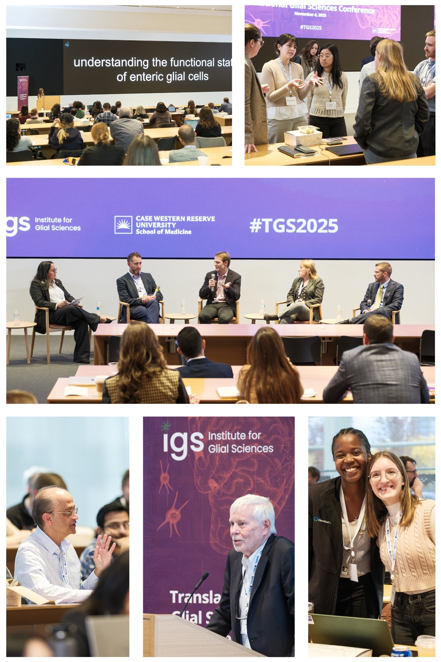 A collage of people attending the first ever Glial conference held by IGS