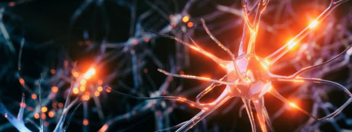 an image of a rendering of brain cells