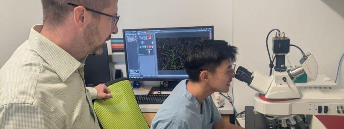 Paul-J.-Tesar-left-and-Jesse-J.-Zhan-examine-cells-for-research-at-Case-Western-Reserve-University-into-a-potential-treatment-for-multiple-sclerosis.-Photo-by-Grant-Segall-1024x576