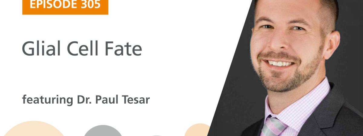 A screenshot of the image for the podcast: “Glial Cell Fate” — Dr. Paul Tesar featured on The Stem Cell Podcast 