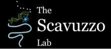 Scavuzzo Lab