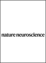 Cover immage of Natuer Neuroscience 