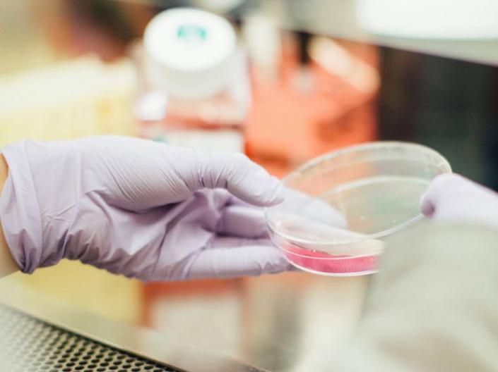 A scientist in a lab coat is holding a beaker of pink liquid, surrounded by lab equipment and a bright workspace.