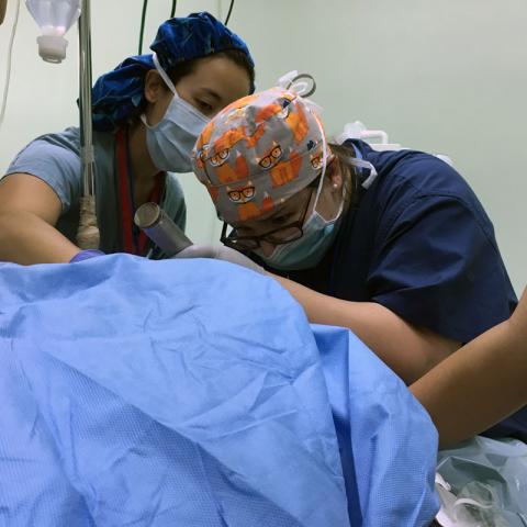 Female student and female physician in operating room