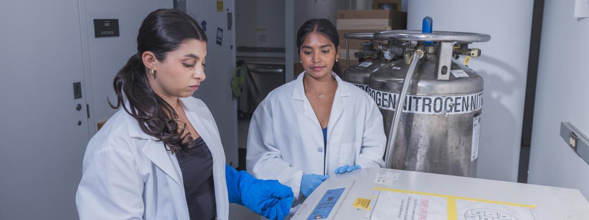 Students conducting research