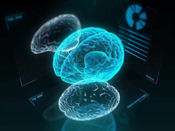 Computer generated image of a 3d model brain