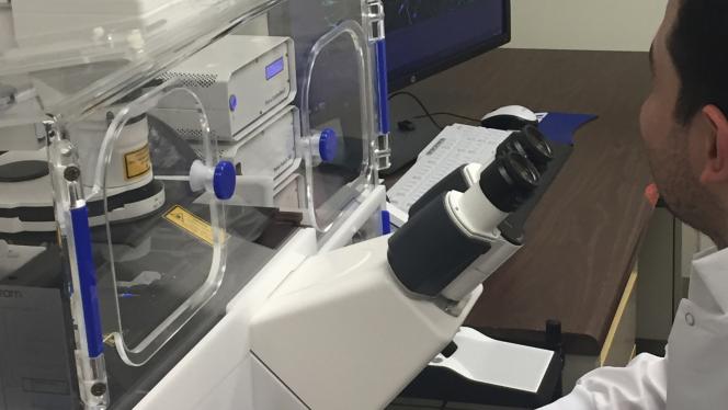 Scientists sitting at a microscope