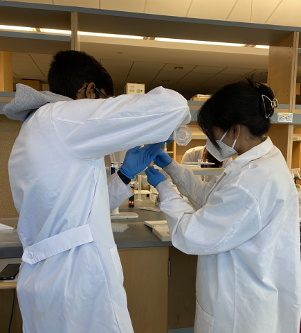 image of students working at a lab bench